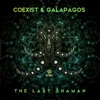 The Last Shaman - Single