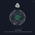 Sonar (Ryan Provost Remix)