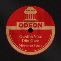 Gezdim Yine Dün Gece - Single - Müzeyyen Senar