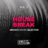 House Break, Vol. 3 (Amazing House Selection)