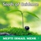 Blessing of Salah - Mufti Ismail Menk lyrics