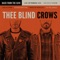 Like a Storm - Thee Blind Crows lyrics