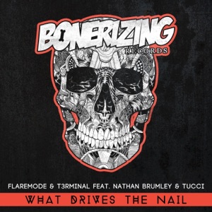What Drives the Nail (feat. Nathan Brumley & Piero Tucci) - Single