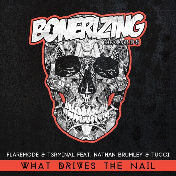 What Drives the Nail (feat. Nathan Brumley & Piero Tucci) - Single