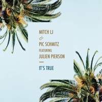 It's True (feat. Julien Pierson) - Single - Mitch LJ & Pic Schmitz