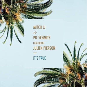 It's True (feat. Julien Pierson)
