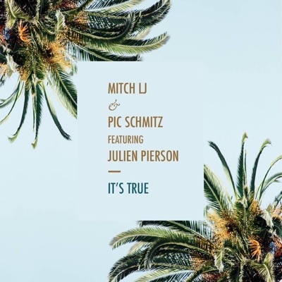 It's True (feat. Julien Pierson) - Single