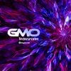 GMO & Dense - Transform