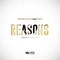 Reasons (feat. Thuy) - Single - Young Gully