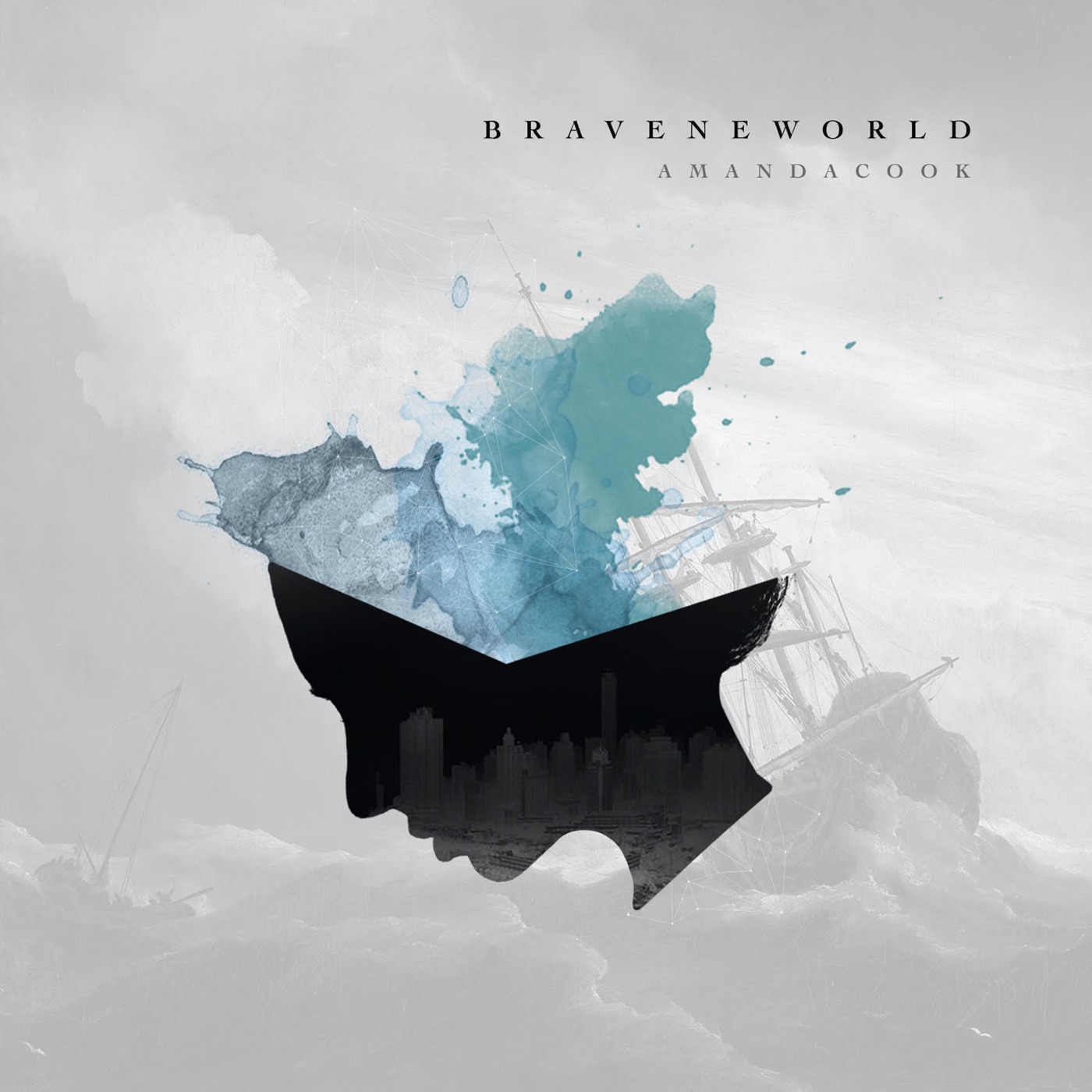 Brave New World by Amanda Cook, Brave New World