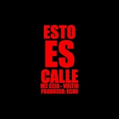 Esto Es Calle (feat. Voltio) artwork