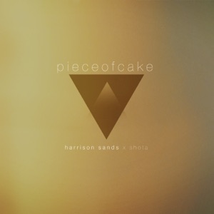 Piece of Cake (feat. Harrison Sands and Shota) - Single