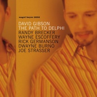 The Path to Delphi (feat. Randy Brecker, Wayne Escoffery, Rick Germanson, Dwayne Burno & Joe Strasser) - David Gibson