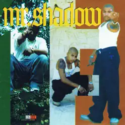 Thirteen - Mr. Shadow Thirteen - Mr. Shadow