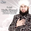 Best of Hafiz Ahmed Raza Qadri