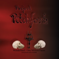 Wonderland / One Million Faces (Remastered) - Project Pitchfork
