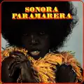 Dorotea