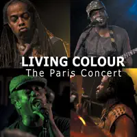 crosstown traffic — living colour