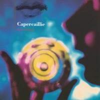 Capercaillie - Black Fields