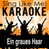 Ein graues Haar (Karaoke Version) [Originally Performed By Pur] - La-Le-Lu