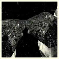 Stripping At The Nail — Secret Boyfriend