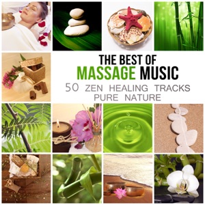 The Best of Massage Music: 50 Healing Tracks Zen Pure Nature, Deep Relaxation, Meditation, Spa Wellness, Sleep Inducing & Reiki, Relaxing Therapy Rain & Ocean Waves
