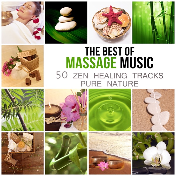 The Best of Massage Music: 50 Healing Tracks Zen Pure Nature, Deep Relaxation, Meditation, Spa Wellness, Sleep Inducing & Reiki, Relaxing Therapy Rain & Ocean Waves