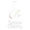 Space Oddity - Hjortur lyrics