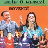 Govendî artwork