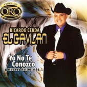 Yo No Te Conozco artwork