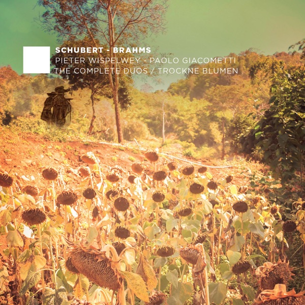 F. Schubert, J. Brahms: The Complete Duos, Vol. 2