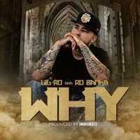 Why - Single - Lil Ro
