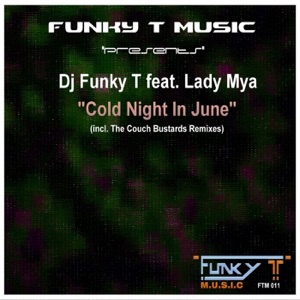 Cold Night in June (Incl. The Couch Bustards Remixes) [feat. Lady Mya]