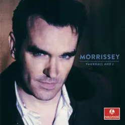 Vauxhall and I (20th Anniversary Definitive Master) - Morrissey