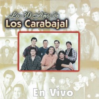 Los Carabajal - Desde el Puente Carretero (En Vivo)