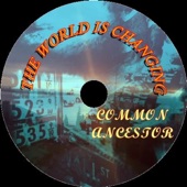 Common Ancestor - Fool