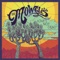 San Francisco - The Mowgli's lyrics