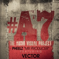 Popular (feat. Pheelz) - Single - Vector