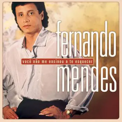 Você Não Me Ensinou a Te Esquecer - Fernando Mendes
