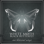 One Thousand Wings - White Moth Black Butterfly