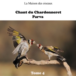 TÉLÉCHARGER CHANT CHARDONNERET ROYAL ALGERIEN GRATUITEMENT ROYAL TÉLÉCHARGER CHANT GRATUITEMENT CHARDONNERET ALGERIEN