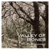 Valley of Bones artwork