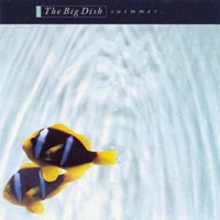 The Big Dish - Slide