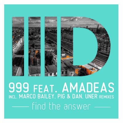 Find the Answer (Pig & Dan Remix) cover art