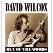 David Wilcox - Hot, Hot Papa