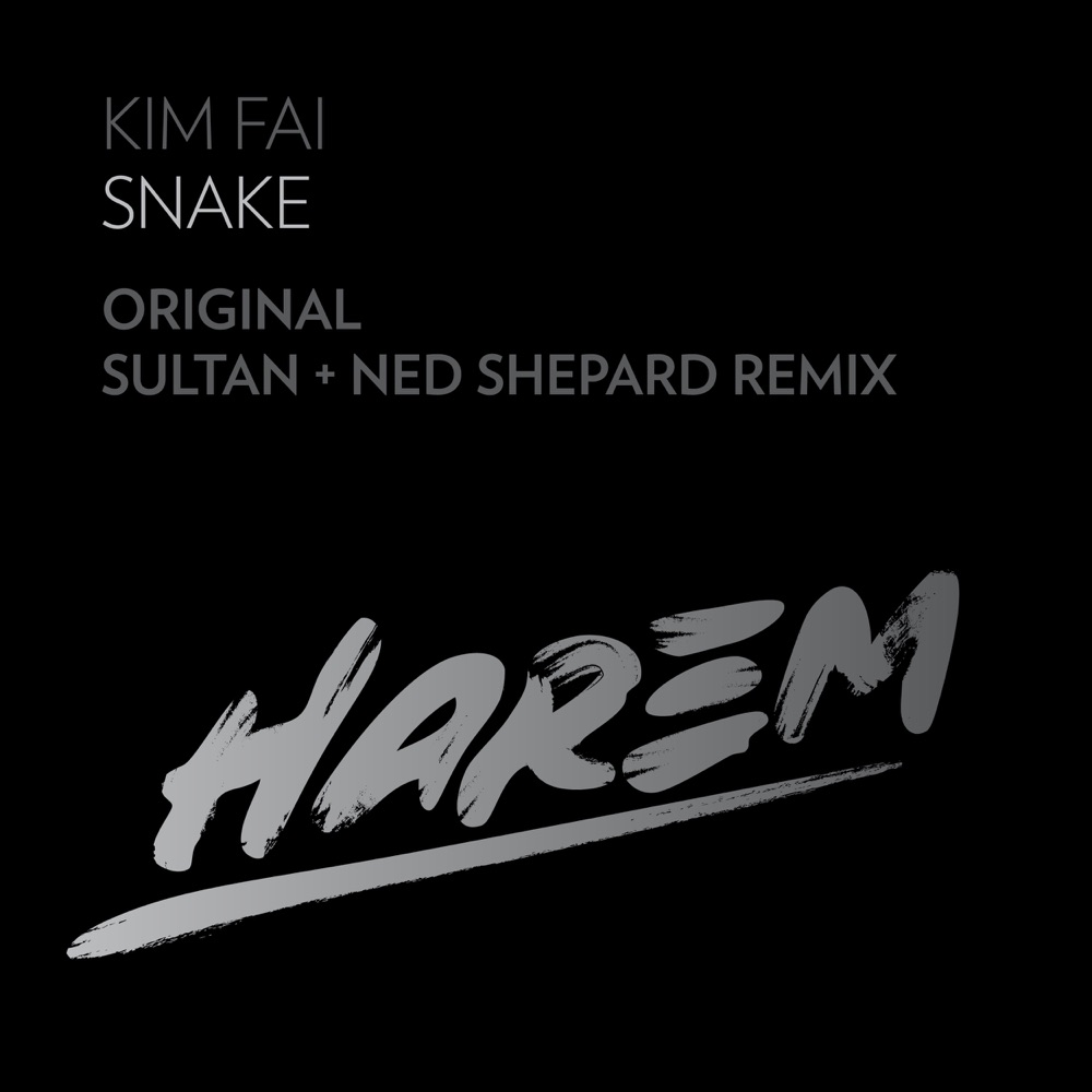 Обложка альбома «Snake (Remixes) - Single» — Kim Fai