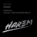 Snake (Remixes) - Single