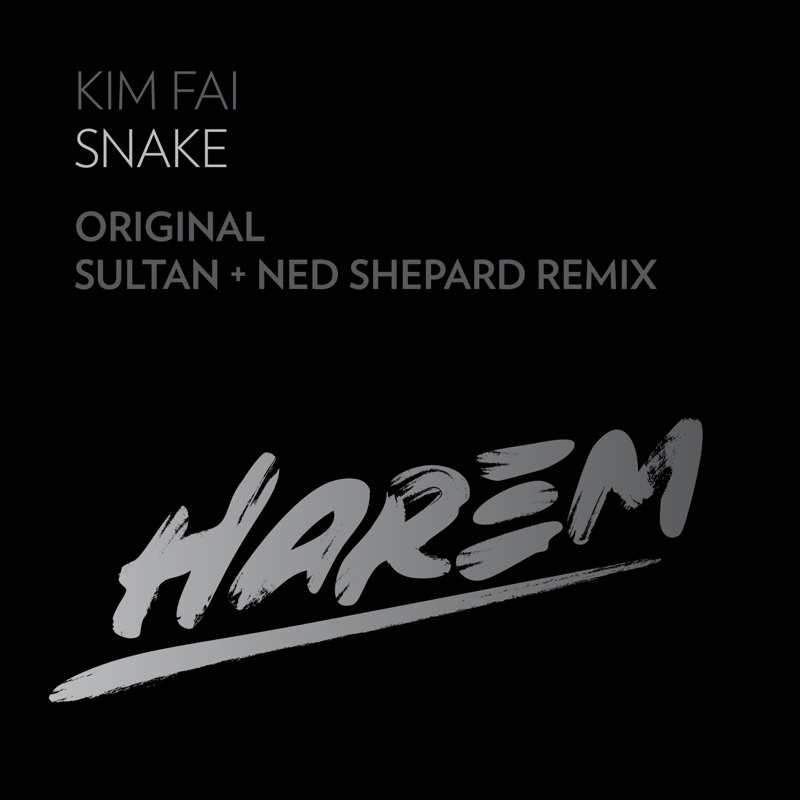 Snake (Remixes) - Single