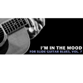 I'm in the Mood Slide Guitar Blues, Vol. 7 - Multi-interprètes