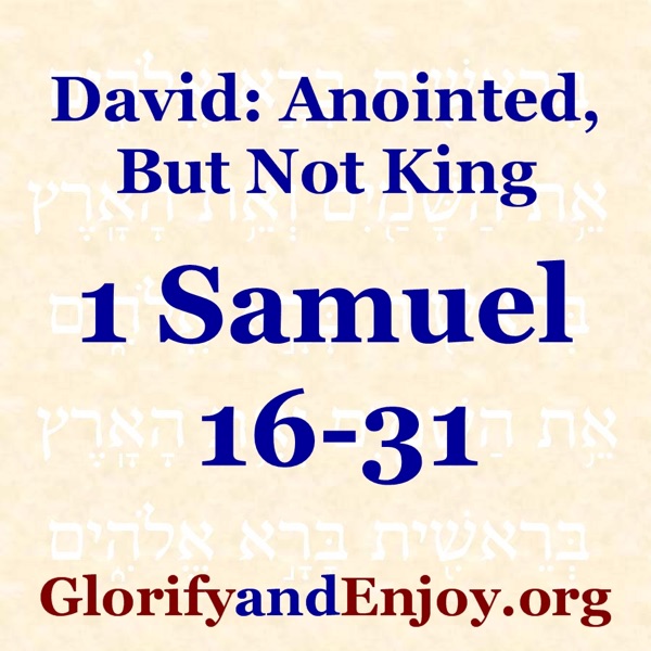 1 Samuel 16-2 Samuel 1 - Greg Cook cover